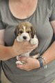 Afb_20120711_Mary (3)
